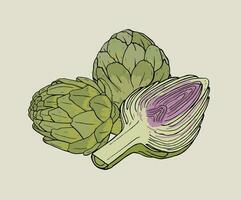 Artichoke hand drawn isolated composition with whole and cutaway plant. Colorful vector illustration.