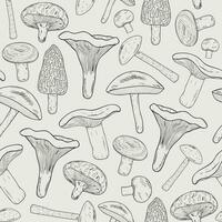 Edible mushrooms outline seamless pattern. Hand drawn fungi. Birch bolete, blewits, brown, champignon, shiitake, chanterelle, wrinkled. Contour vector illustration.