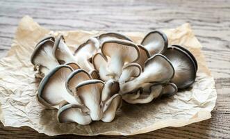 Oyster mushrooms closeup photo