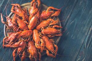 Boiled crayfish top view photo