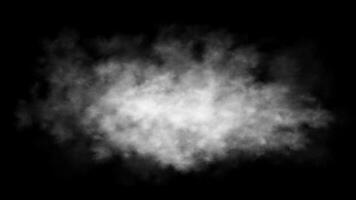 Powder explosion on black background. Abstract white dust texture. photo