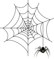 Halloween Spinne auf Netz png