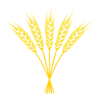 Ears of Wheat icon png