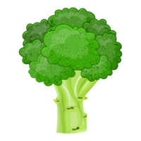 Fresh Vegetable broccoli png