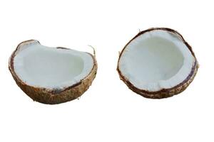 Half coconut isolated on white background photo