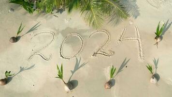 mot 2024 écrit sur le blanc le sable sur une tropical plage avec Jeune noix de coco paumes video