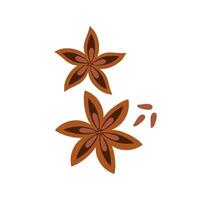 Star anise. illustration of aromatic spice in flat style on white background. vector