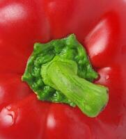 capsicum closeup macro photo