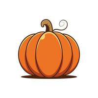 Pumpkin vector isolated on white background