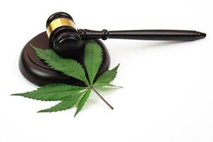 Cannabis leaf or marijuana leaf with judge hammer on white background. Law, judiciary concept. photo