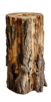 AI generated Rustic Rough Wood Stump Isolated png