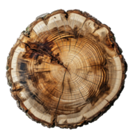 AI generated Cross-section Rough Wood Texture png