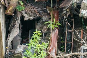 Rundown Abandoned Housing with Exposed Walls photo