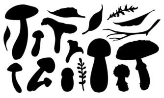 Mushrooms Silhouette set. Vector illustration of fungus painted by black inks on white background. Drawing of boletus and fly agaric. Sketch of forest porcini and champignons