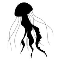 Jellyfish vector silhouette. Hand drawn illustration of Jelly Fish on isolated background in outline style. Drawing of sea animal. Engraving painted by black ink for icon or logo. Linear sketch