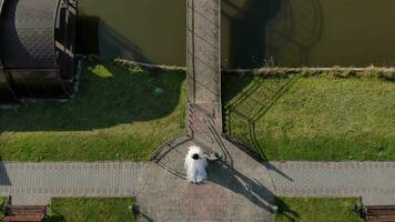 Aerial View from the top as the newlyweds climb to the bridge by the lake. The evening sun and the couple at the lake video