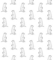 Vector seamless pattern of doodle groundhog marmot