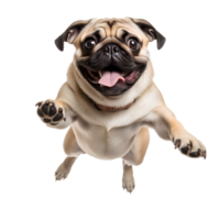 AI generated Cute and happy dog on transparent background PNG, easy to use. png