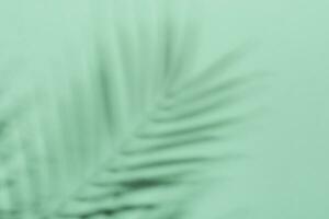Natural palm leaves shadow on gradient paper background. Abstract blue and mint tropical backdrop. Soft light photo