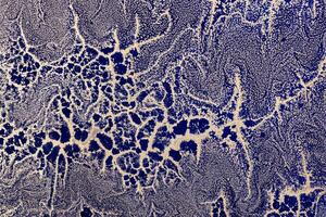 Acrylic Fluid Art. Gold sparkles wavy pattern on dark blue background. Abstract background or texture photo