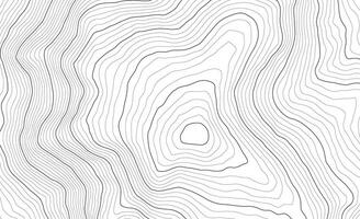 Background of the topographic map. Topo map with elevation. Geographic line mountain relief. Vector stock illustration