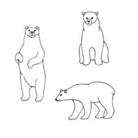 Hand drawn vector illustration in cartoon style. set of drawings of polar bears. Black and white linear drawing on a white background.