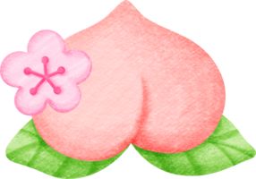 Chinese New Year Peach png