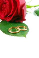 rings with rose photo