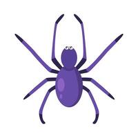 spider animal illstration vector