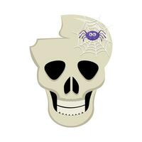 spider with spider web in skull illustration vector