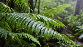 AI generated rainy forest in the rain forest, costa rica photo