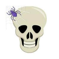 spider in spider web with in skull illustration vector