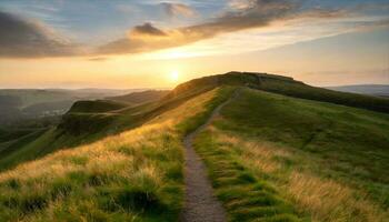 AI generated a path leads up to a hill with a sunset behind it photo