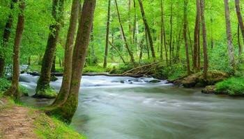 AI generated a stream runs through a forest in the middle of a green forest photo