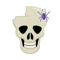 spider with spider web in skull illustration vector