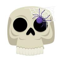 spider in spider web with in skull illustration vector