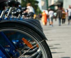 bicycles rent closeup photo