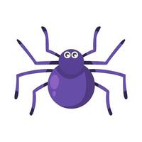 spider animal illstration vector