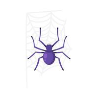 spider in spider web illustration vector