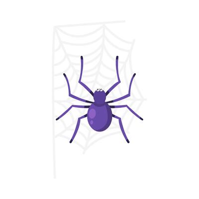 spider in spider web illustration