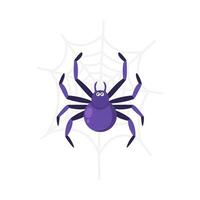 spider in spider web illustration vector