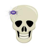 spider with spider web in skull illustration vector