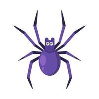 spider animal illustration vector