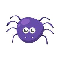 spider animal illustration vector