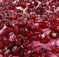 pomegranate fruit closeup photo