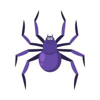 spider animal illustration vector