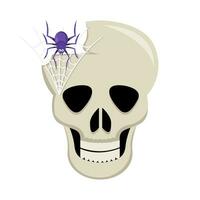 spider in spider web with in skull illustration vector