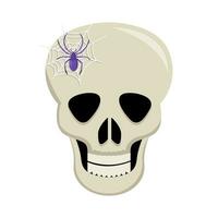 spider in spider web with in skull illustration vector