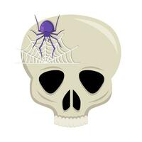 spider with spider web in skull illustration vector