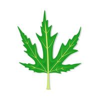 weed leaf  illustration vector